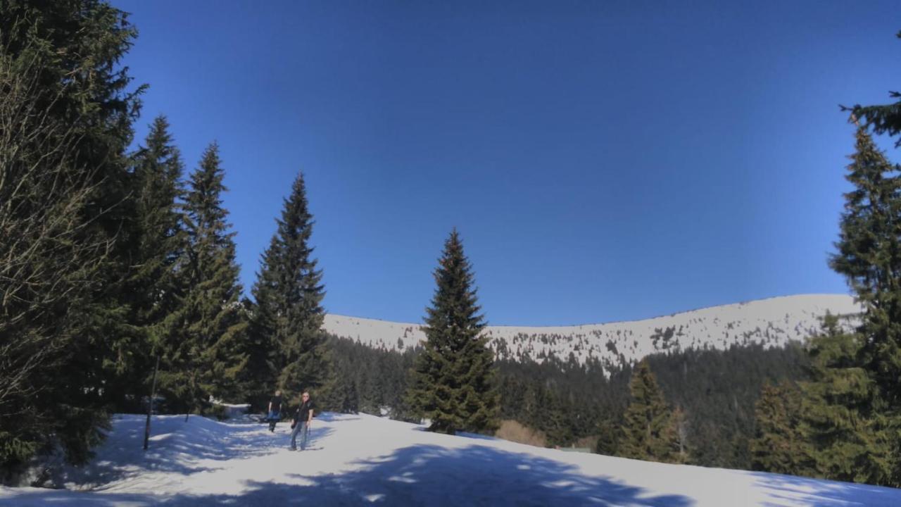 Chata Salicka Bozkov Bozkovska Exteriör bild